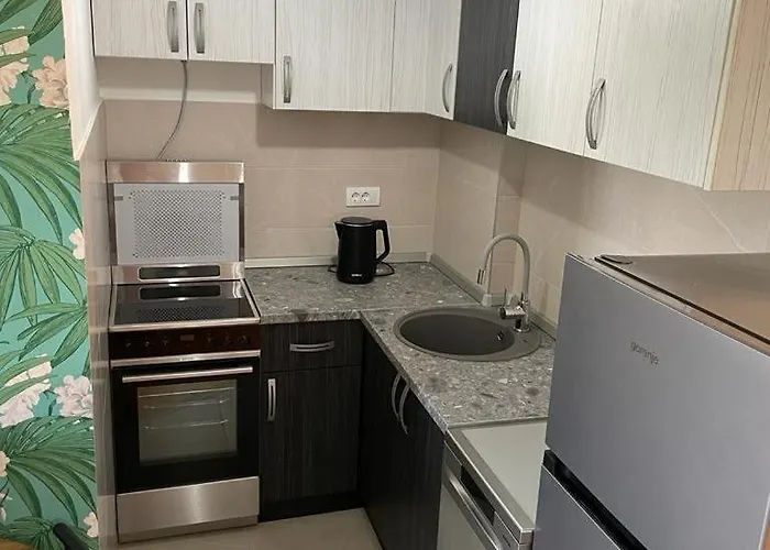 Mara * 베오그라드